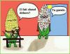 Popcorn.jpg