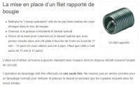 Rapporteur.JPG