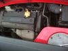 Red_mgf_11.jpg