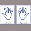 Right2520-2520Left2520Hands5B15D.jpg