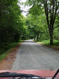 Route_ancienne.jpg