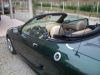 SL706987.JPG