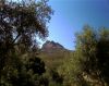 SP_A0182.jpg
