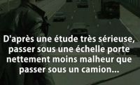 Sans_titre_2~7.jpg