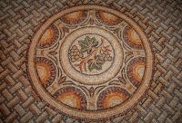 Seviac-grapevine-medalion_600px.jpg
