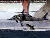 Sharkattackpicture.jpg