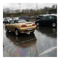 Sienna_Gold_Pearlescent.jpg