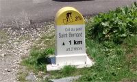 St_Bernard1.jpg