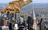 Super chien NY.jpg