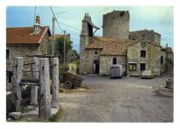 Sur_les_Monts_de_la_Margeride2C_Cantal_28Bos2C_Editions_Theojan_Limoges_3529_copie.jpg