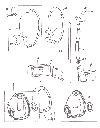 Tappet-chest.gif