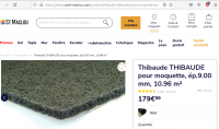 Thibaude_synthe_.png