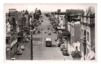 Trafalgar_Street2C_Nelson2C_Dunedin.jpg