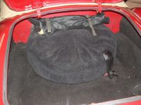 Trunk.jpg
