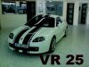 VR25.jpg