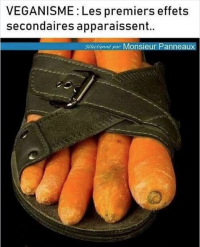 Vegan.png