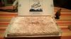 WP_20150818_005.jpg