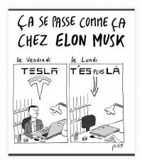 WhatsApp_Image_2022-11-07_at_19_21_35.jpeg