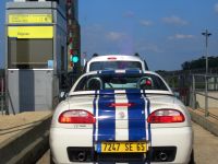 ZEBRE_013.JPG
