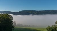 _DSC0079.jpg