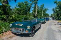 _DSC3367.jpg