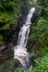_DSC4589.jpg