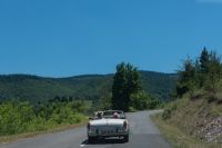 _DSC4802.jpg