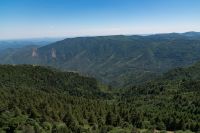 _DSC4822.jpg