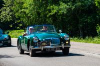 _DSC4959.jpg