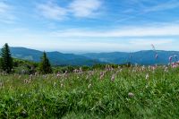 _DSC5004.jpg