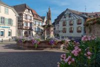 Nom du fichier=_DSC5071.jpg
Taille du fichier=805Ko
Dimensions : 1024x683
Ajouté le : 24 Juin 2019 _DSC5071.jpg