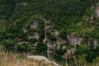 _DSC5072.jpg