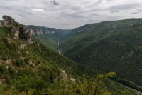 _DSC5132.jpg