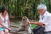 Nom du fichier=_DSC5145.jpg
Taille du fichier=860Ko
Dimensions : 1024x683
Ajouté le : 25 Juin 2019 _DSC5145.jpg