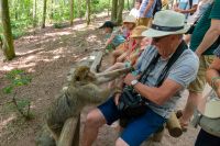 Nom du fichier=_DSC5179.jpg
Taille du fichier=888Ko
Dimensions : 1024x683
Ajouté le : 25 Juin 2019 _DSC5179.jpg