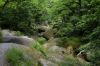 _DSC6368.jpg