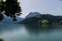_DSC6420.jpg