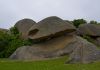 _DSC6440.jpg