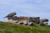_DSC6979.jpg