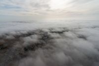 _DSC7448.jpg