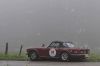 _DSC7787_DxO.jpg
