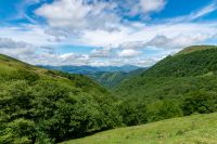 _DSC8801.jpg