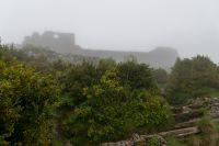 _DSC9238~0.jpg