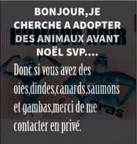 Nom du fichier=adoption.png
Taille du fichier=320Ko
Dimensions : 500x527
Ajouté le : 01 Novembre 2019 adoption.png