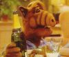 alf01.jpeg
