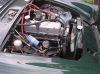 alpine_005.jpg