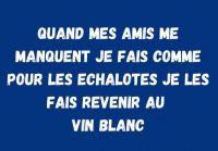 amis_echalotte.jpg