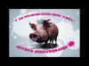 anniversaire-cochon_2.jpg