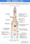 ariane_hm7[1].jpeg