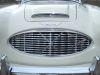 austin-healey-3000-mk1_white-grille.jpg